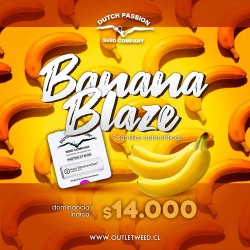Semillas | Banana Blaze | Auto | 3 semillas | Dutch Passion