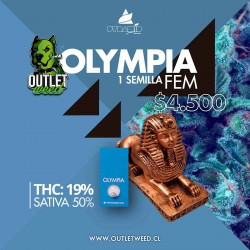 Semillas | Olympia | Fem | 1 semilla | Pyramid Seeds	