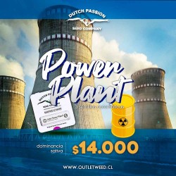 Semillas | Power Plant | Auto | 3 semillas | Dutch Passion