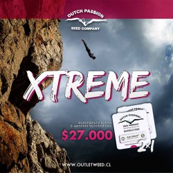Promo 2x1 | Xtreme | Auto | Dutch Passion