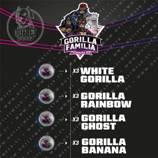 Semillas | Mix Gorilla Familia | 12 semillas | Fem | BSF