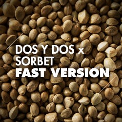 Semillas | Dos y Dos x Sorbet | Fast Version | 10 semillas | Granel