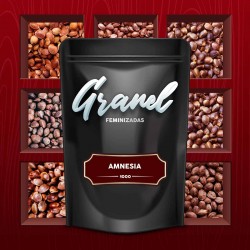 Semillas | Amnesia | Fem | 1000 semillas | Granel