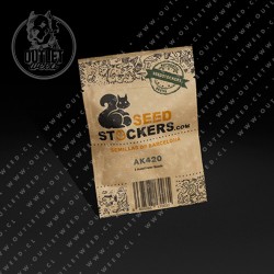 Semillas | AK420 | Auto | 3 semillas | Seed Stockers