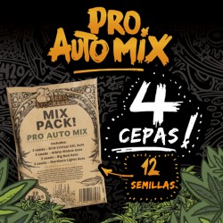 Semillas | Mix Pro Auto | Auto | 12 semillas | Seed Stockers