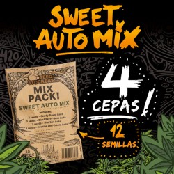 Semillas | Mix Sweet Auto | Auto | 12 semillas | Seed Stockers