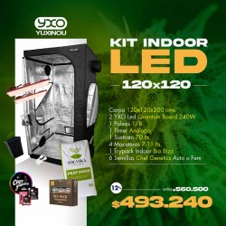 Kit Indoor YXO | Led | 120 x 120