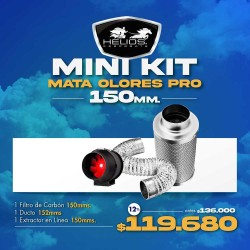 Mini Kit | Mata Olores | Pro | 150 mms.
